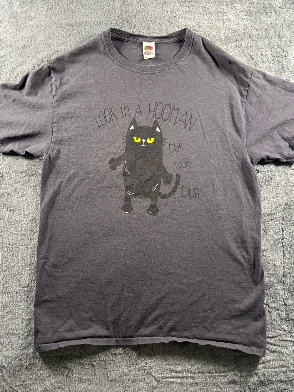 Fruit of The Loom Look Im A Hooman Dur Dur Dur Cat Graphic Gray Women’s Size M